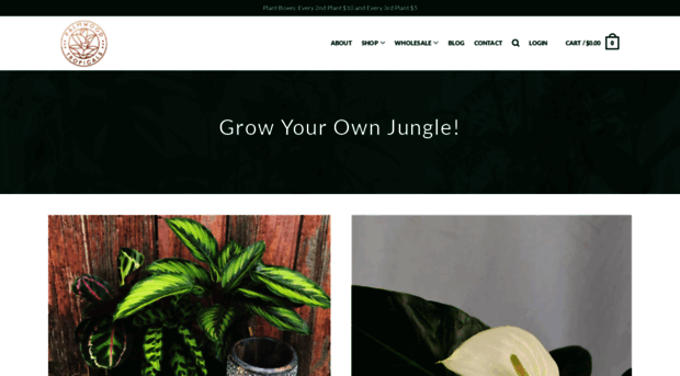 palmwoodtropicals.com.au