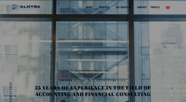 palmyra-accounting.com