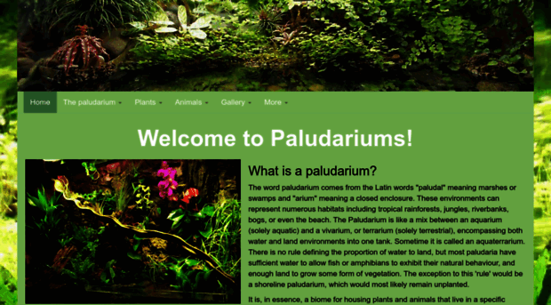 paludariums.net