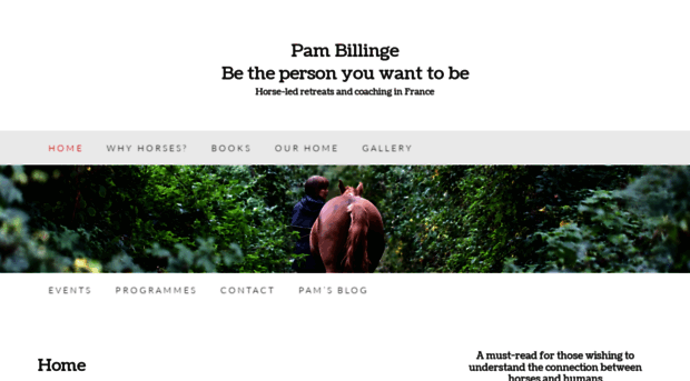 pambillinge.com