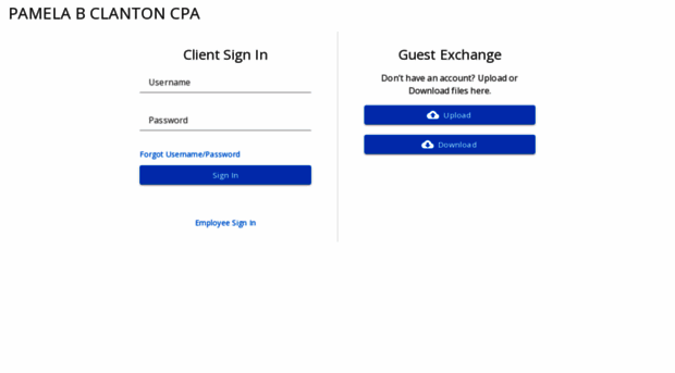 pamclantoncpa.securefilepro.com