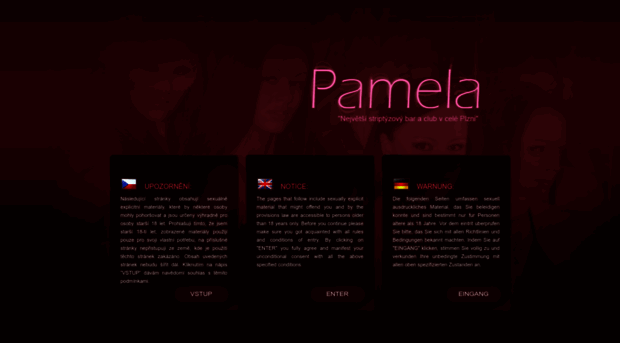 pamela-plzen.cz