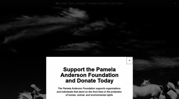 pamelaandersonfoundation.org