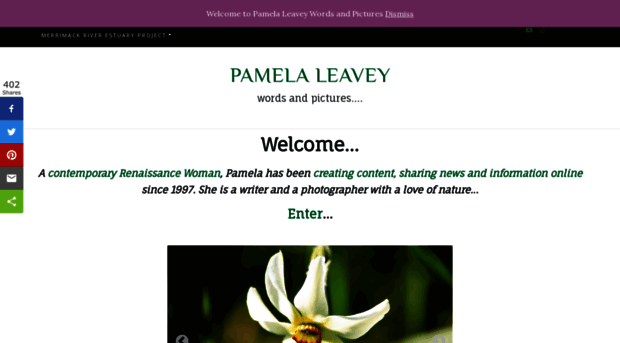 pamelaleavey.com