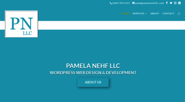 pamelanehfllc.com