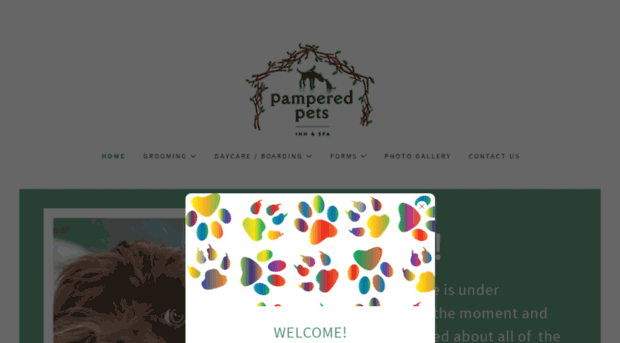 pamperedpetsinnandspa.com