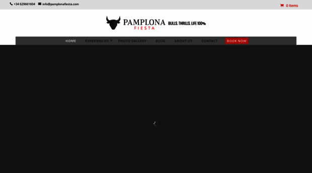 pamplonafiesta.com