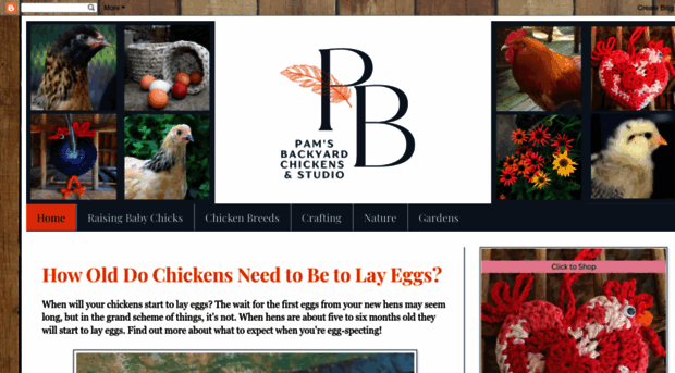 pamsbackyardchickens.com