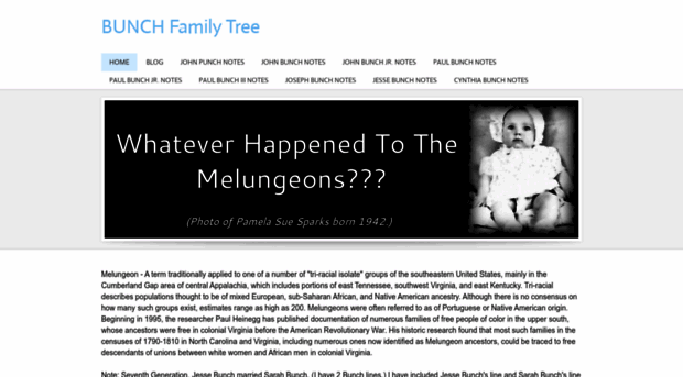 pamsfamilytrees.weebly.com