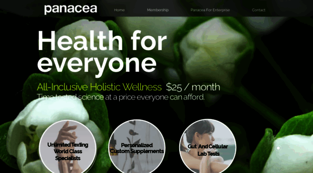 panaceacorporatewellness.com