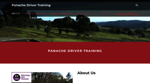 panachedrivertraining.com