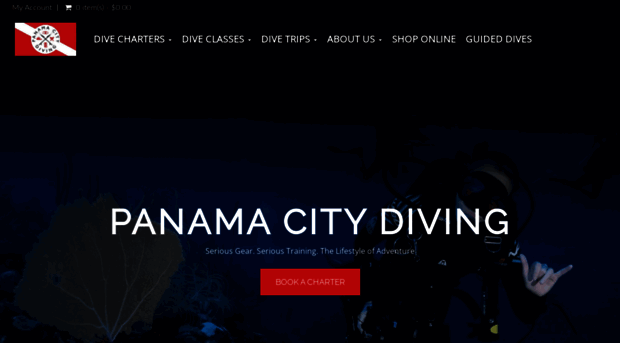 panamacitydiving.com