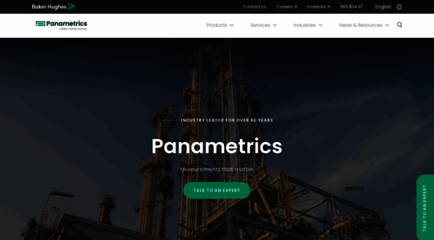 panametrics.com