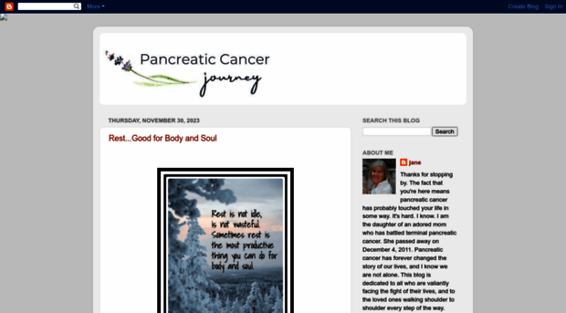 pancreaticcancerjourney.blogspot.com