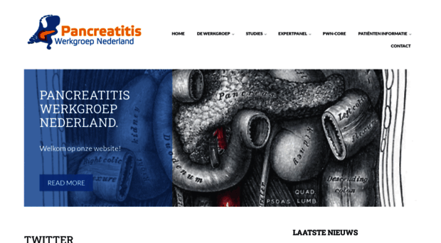 pancreatitis.nl