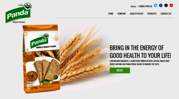 pandafoods.co.in