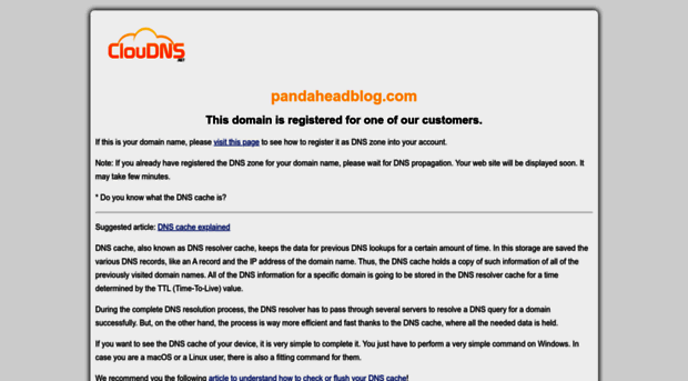 pandaheadblog.com