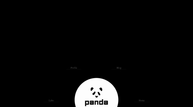 pandanoir.net