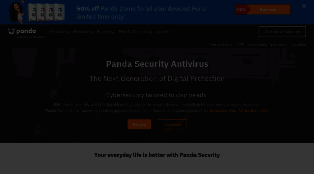 pandasecurityusa.com