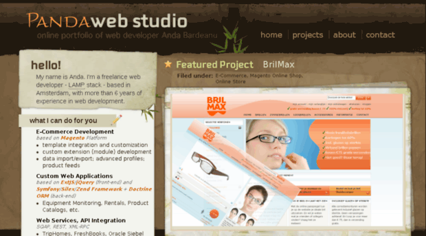 pandawebstudio.com