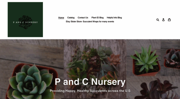 pandcnursery.com