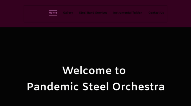 pandemicsteelorchestra.co.uk