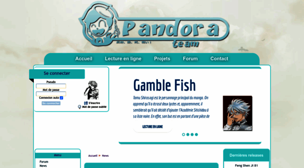 pandora-team.com
