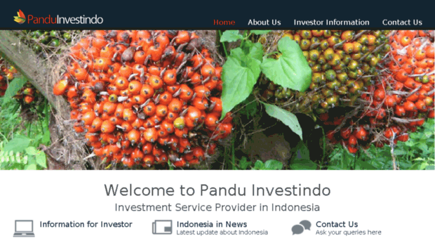 panduinvestindo.com