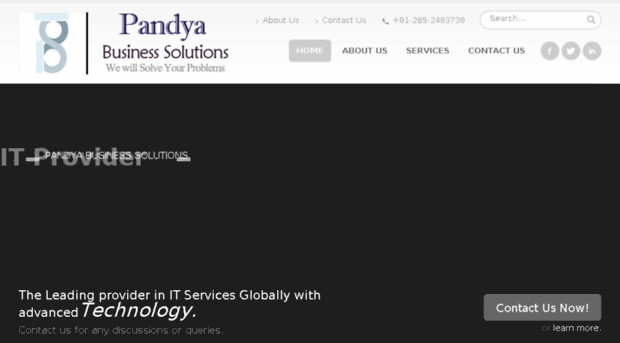 pandyabusinesssolutions.com