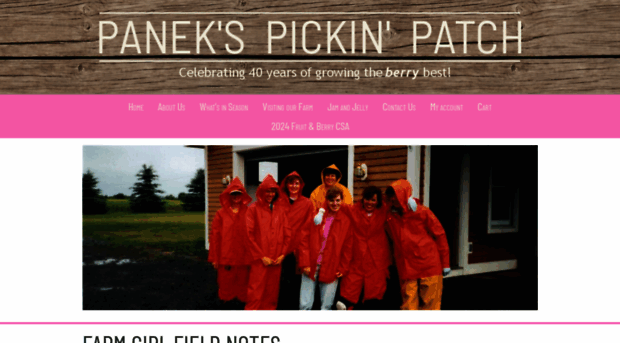 panekspickinpatch.com