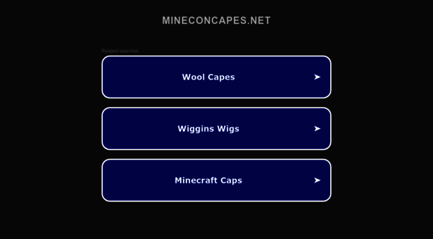 panel.mineconcapes.net