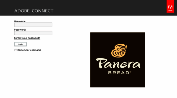 panerabread.adobeconnect.com