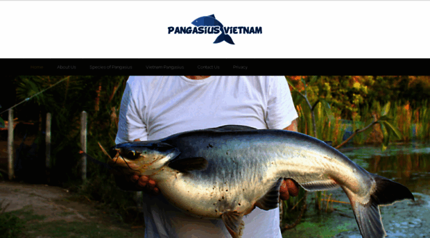 pangasius-vietnam.com