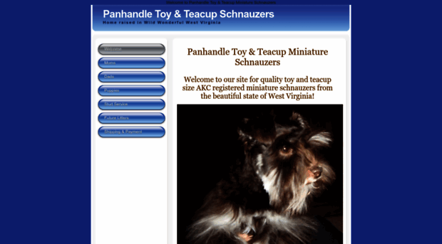 panhandletoyschnauzers.com