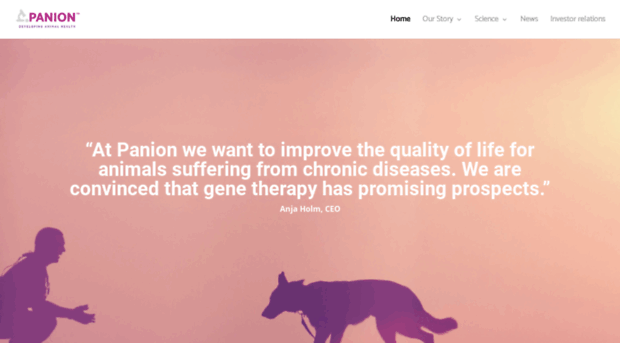 panion-animalhealth.com