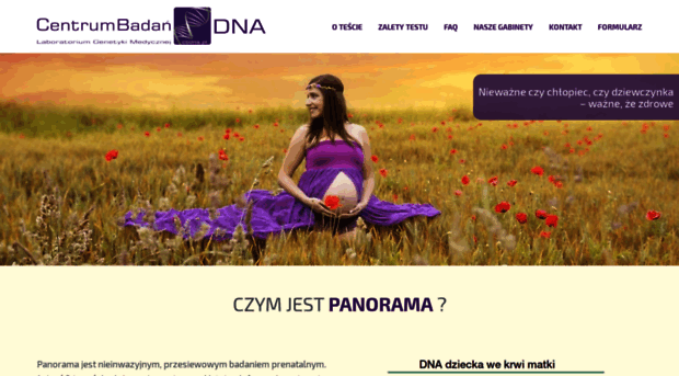 panorama-test.pl
