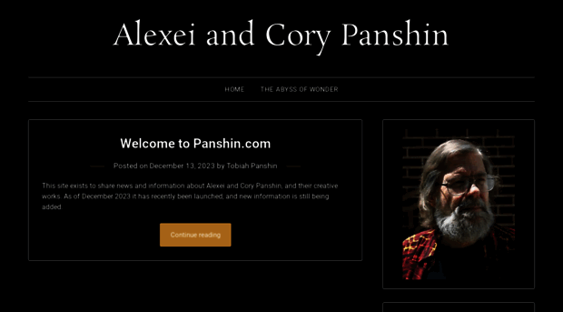 panshin.com