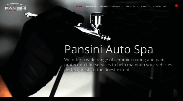 pansiniautospa.com