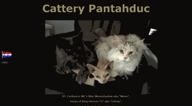 pantahduc.nl