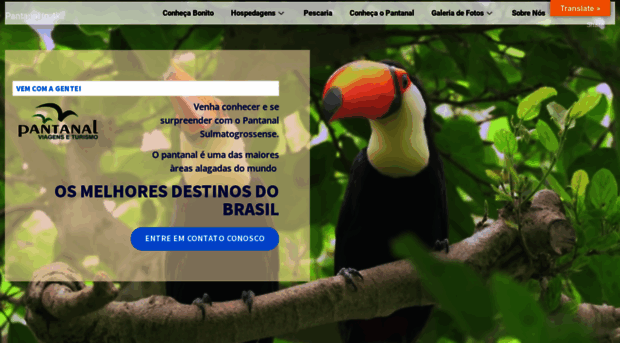 pantanalviagens.com.br