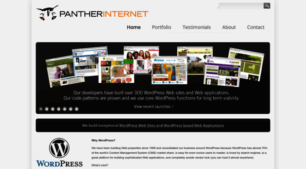 pantherinternet.com