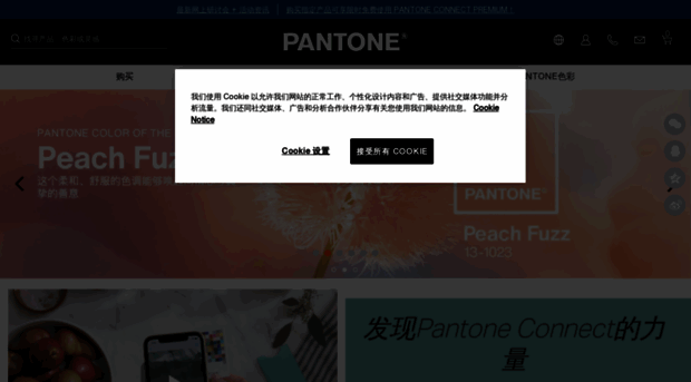 pantonecn.com