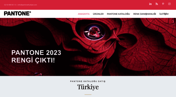 pantoneturkiye.com