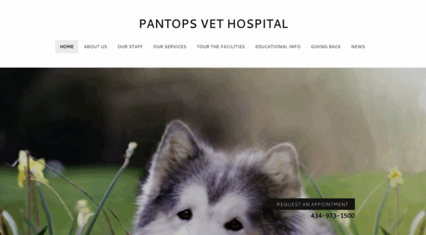 pantopsvet.com