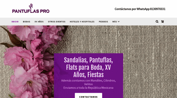 pantuflaspro.com