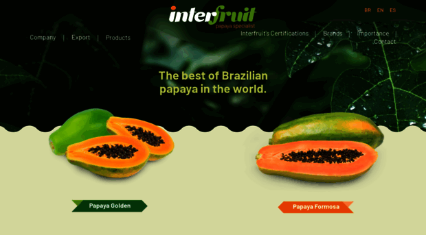 papaya.com.br