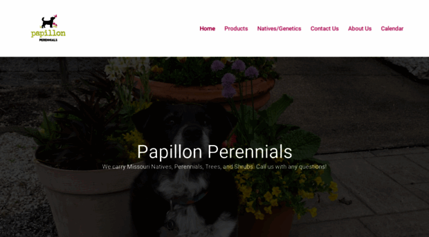 papillonperennials.com