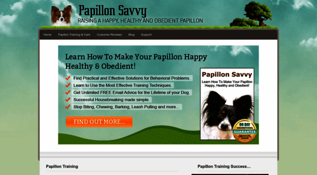 papillonsavvy.com