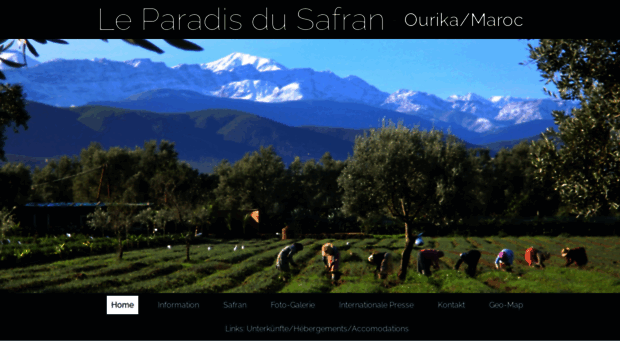 paradis-du-safran.com