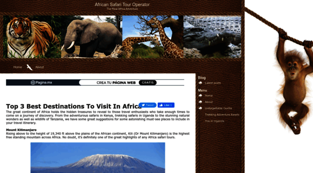 paradiseafricasafari.mex.tl